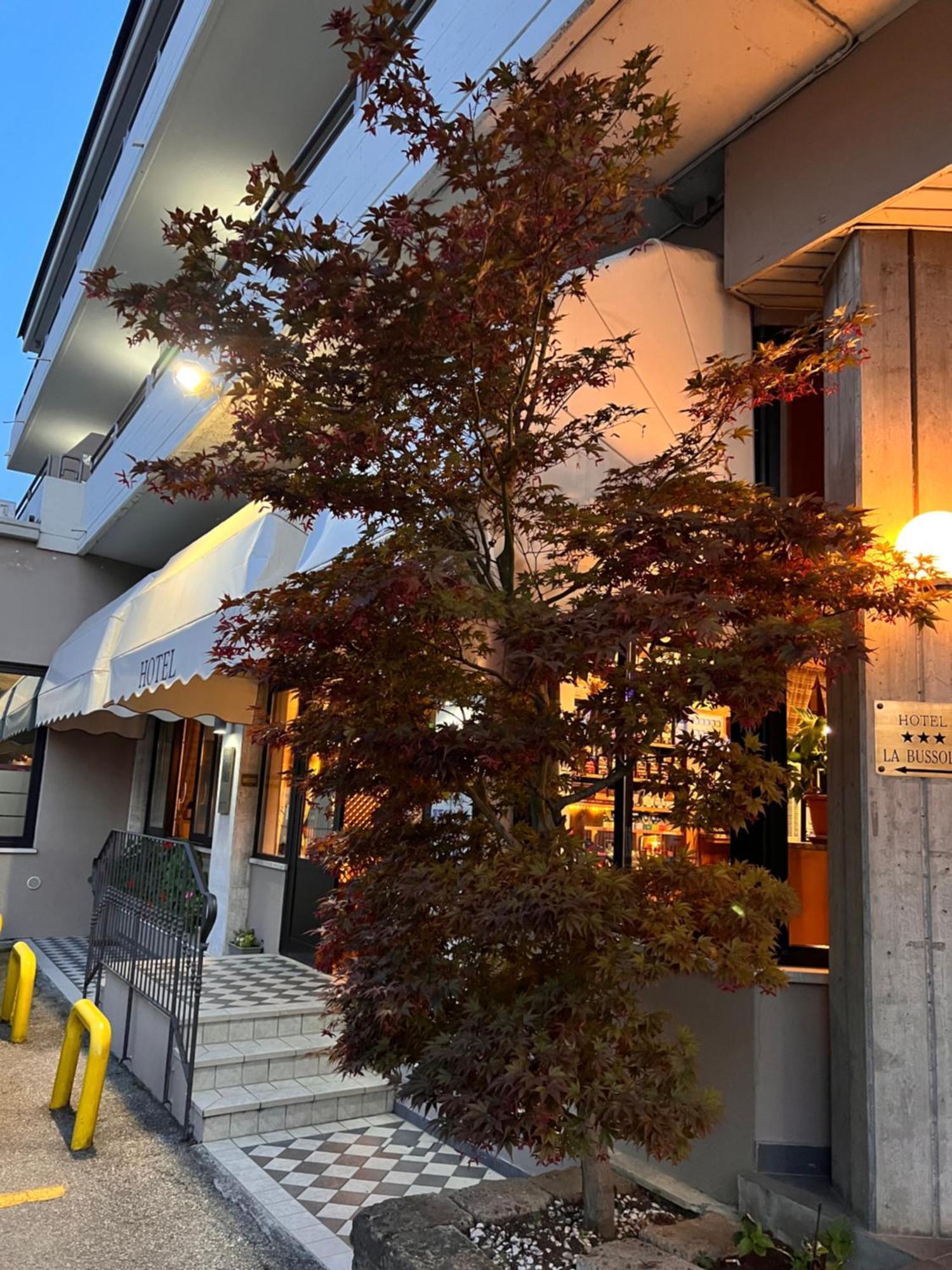 Hotel La Bussola Padenghe sul Garda Exteriör bild
